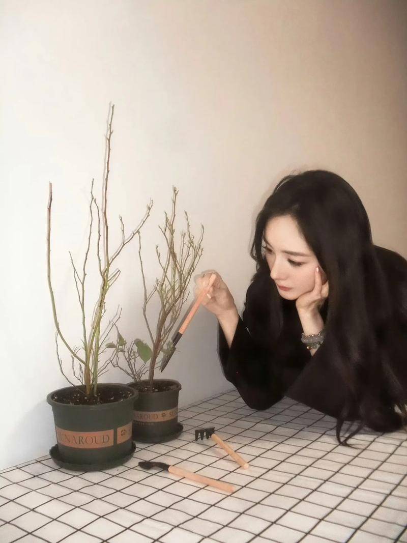 妹学院风转型登顶轻熟天花板开元棋牌杨幂穿搭太会了！甜(图3)